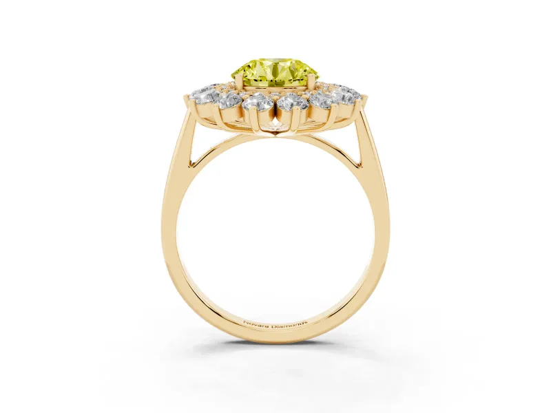 Round Floral Double Halo Engagement Ring Setting for a Fancy Yellow Lab-Grown Diamond | Plain Band | Yellow Gold