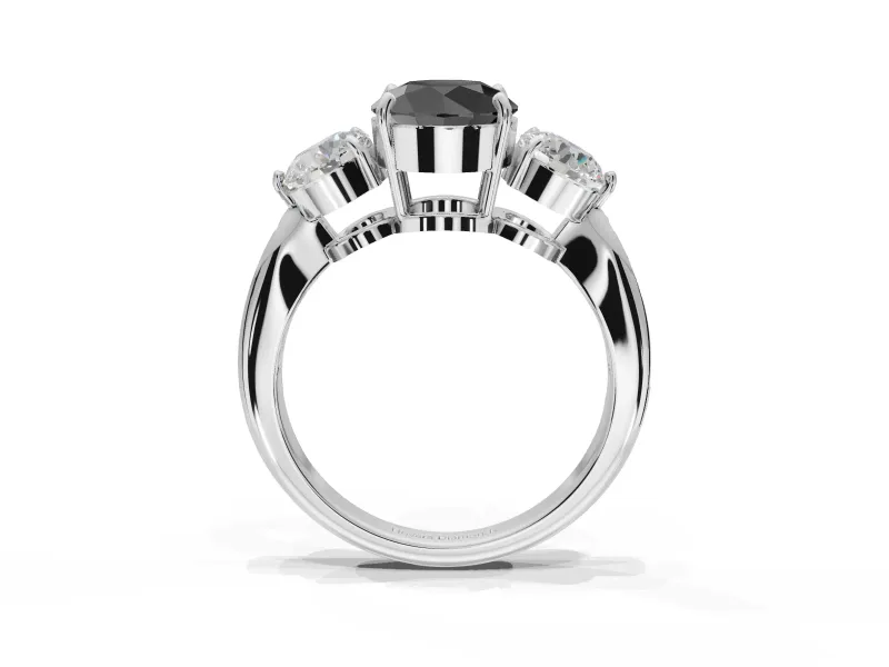 Fancy Black Round Cut Lab-Grown Diamond Three-Stone Ring Set in Platinum with Channel-Set Band and Prong Setting