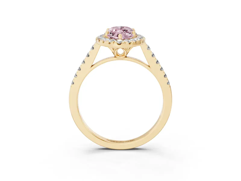 Marquise Raised Halo Engagement Ring Setting for a Fancy Pink Lab-Grown Diamond | Yellow Gold