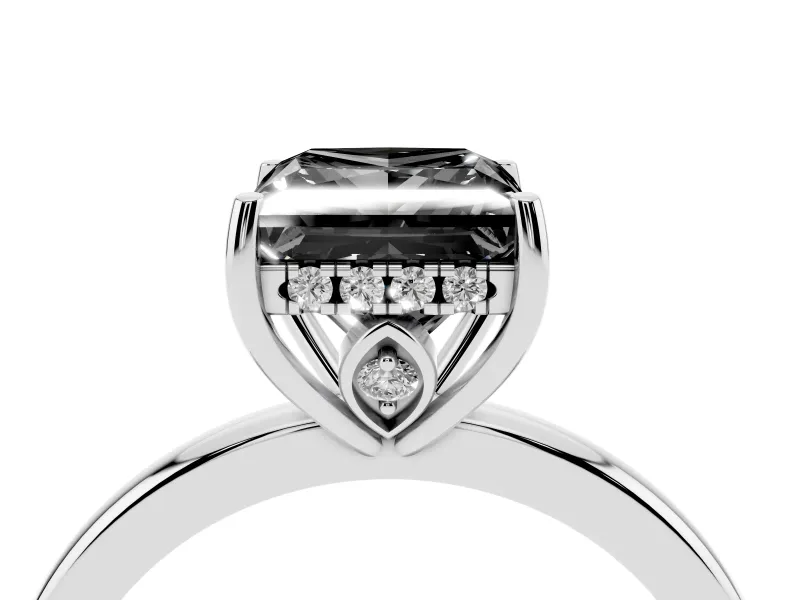 Princess Cut Hidden Halo Engagement Ring Setting for a Black Center | Thin Band | Platinum