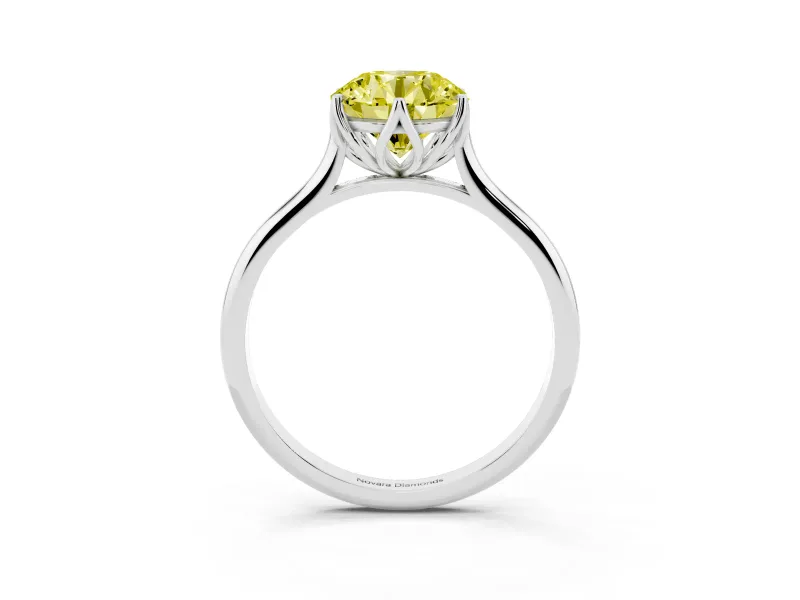 Fancy Yellow Round Cut Diamond Solitaire Cathedral Ring Set in White gold with Prong Setting