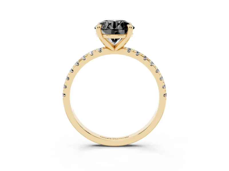 Fancy Black Round Cut Diamond Brilliant Solitaire Ring Set in Yellow gold with Pavé Band and Prong Setting