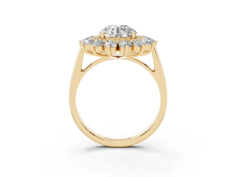 Round Floral Double Halo Engagement Ring Setting | Plain Band | Yellow Gold