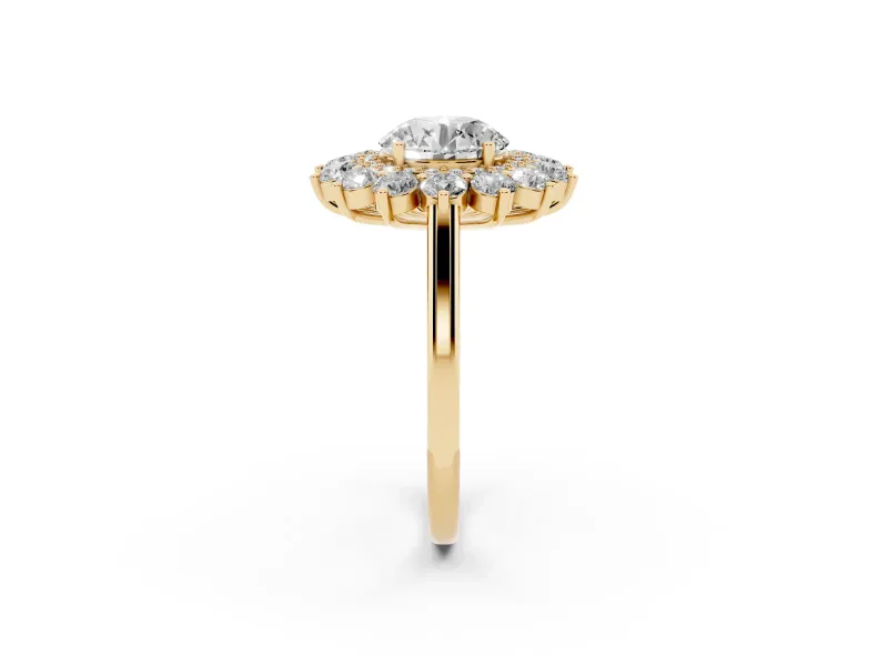 Round Floral Double Halo Engagement Ring Setting | Plain Band | Yellow Gold