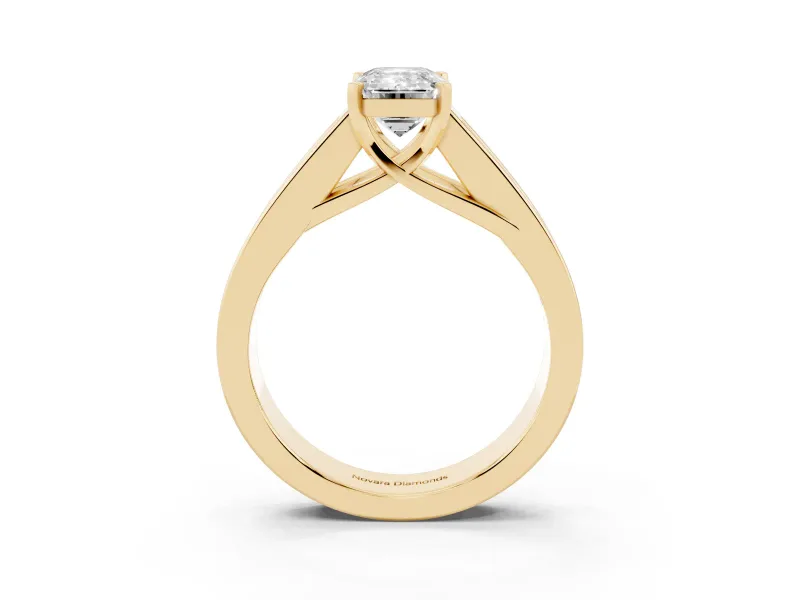 Emerald Cut Channel-Set Engagement Ring Setting | Princess Side Stones | Yellow Gold