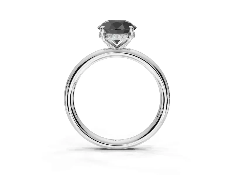 Round Hidden Halo Engagement Ring Setting for a Black Center | Thin Plain Band | White Gold