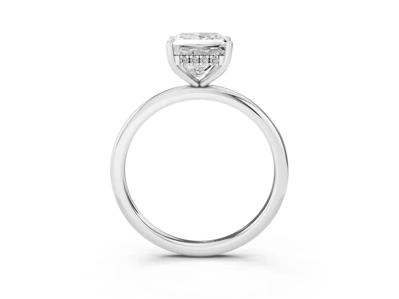 Princess Cut Diamond Solitaire Engagement Ring Set in Platinum with Prong Setting and Polished Band