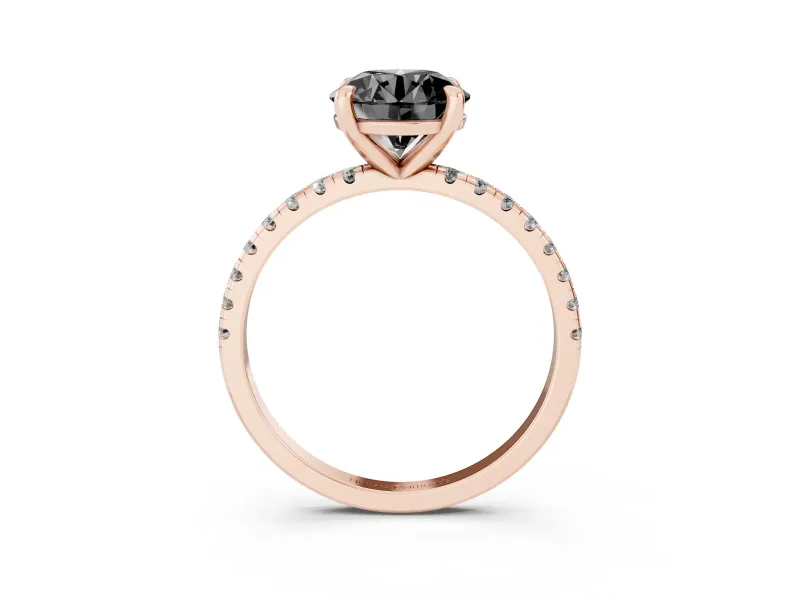 Fancy Black Round Cut Diamond Brilliant Solitaire Ring Set in Rose gold with Pavé Band and Prong Setting