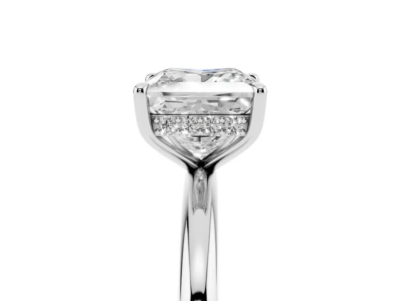 Princess Cut Hidden Halo Engagement Ring Setting | Thin Plain Band | Platinum