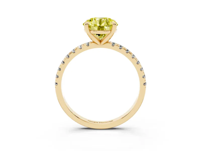 Round Petite Pavé Solitaire Engagement Ring Setting for a Fancy Yellow Lab-Grown Diamond | Slim Band | Yellow Gold