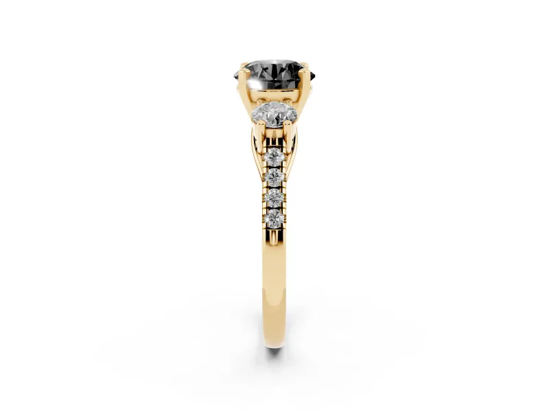 Fancy Black Three-Stone Round Cut Diamond Pavé Band Ring Set in Yellow gold with Prong-Set Trio