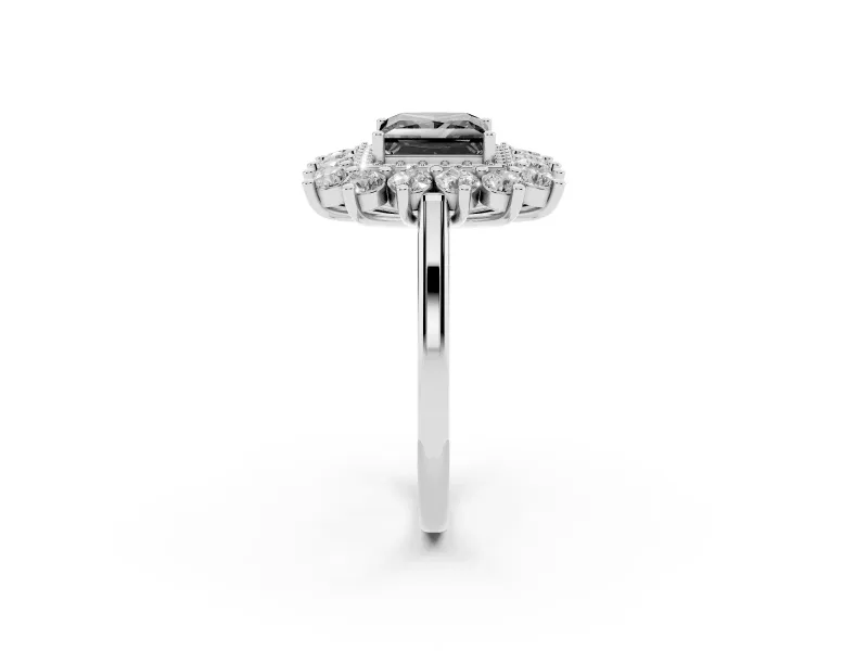 Princess Cut Floral Double Halo Engagement Ring Setting for a Black Center | Plain Band | Platinum