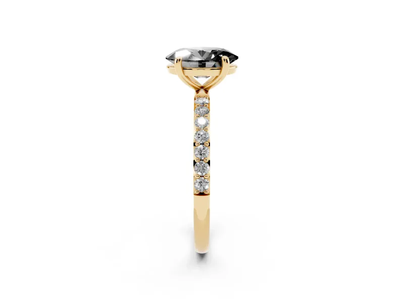 Fancy Black Oval Cut Diamond Solitaire Ring Set in Yellow gold with Round Pavé Band and Prong Setting