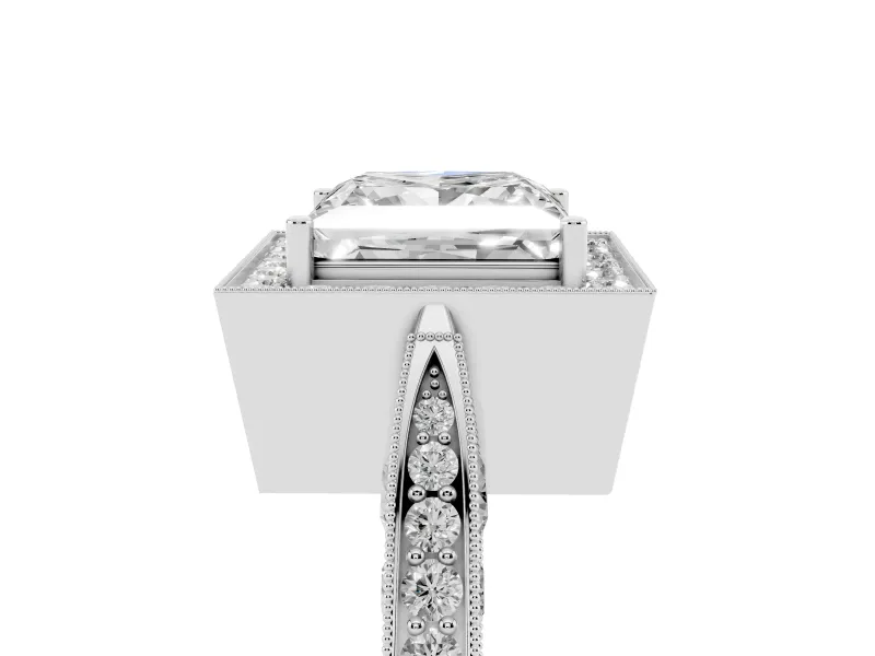 Princess Cut Vintage Milgrain Halo Engagement Ring Setting | Side Stones and Pave | Platinum