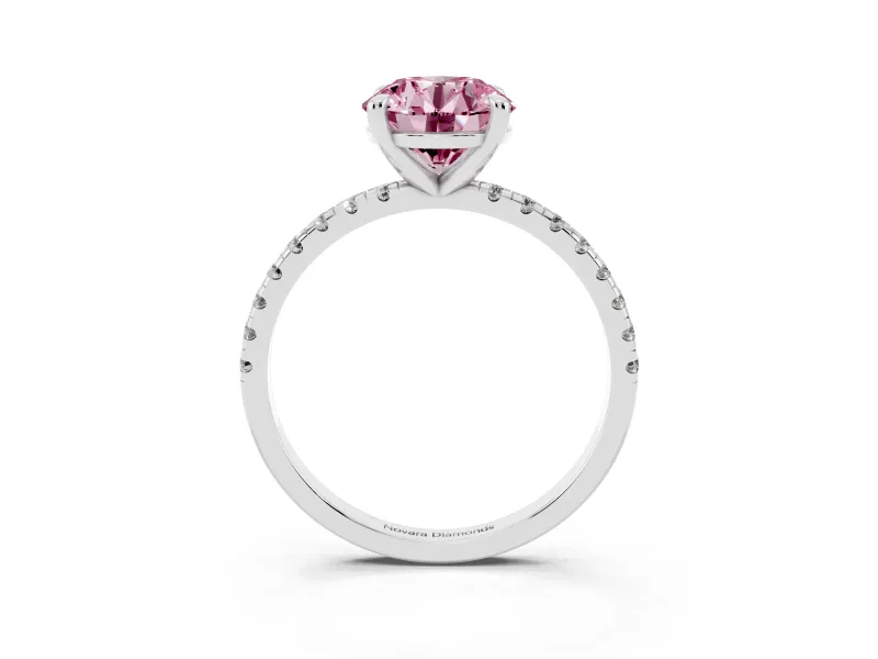 Fancy Pink Round Cut Diamond Brilliant Solitaire Ring Set in White gold with Pavé Band and Prong Setting