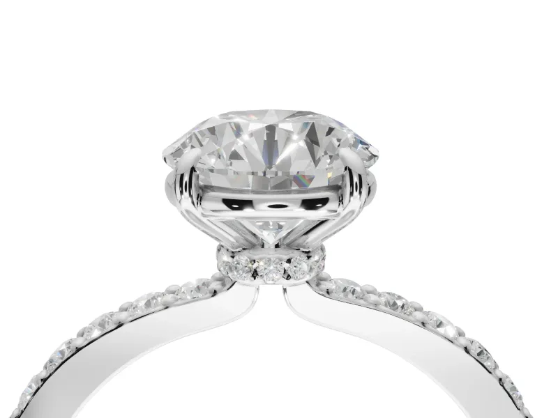 Round Hidden Halo Engagement Ring Setting | Platinum