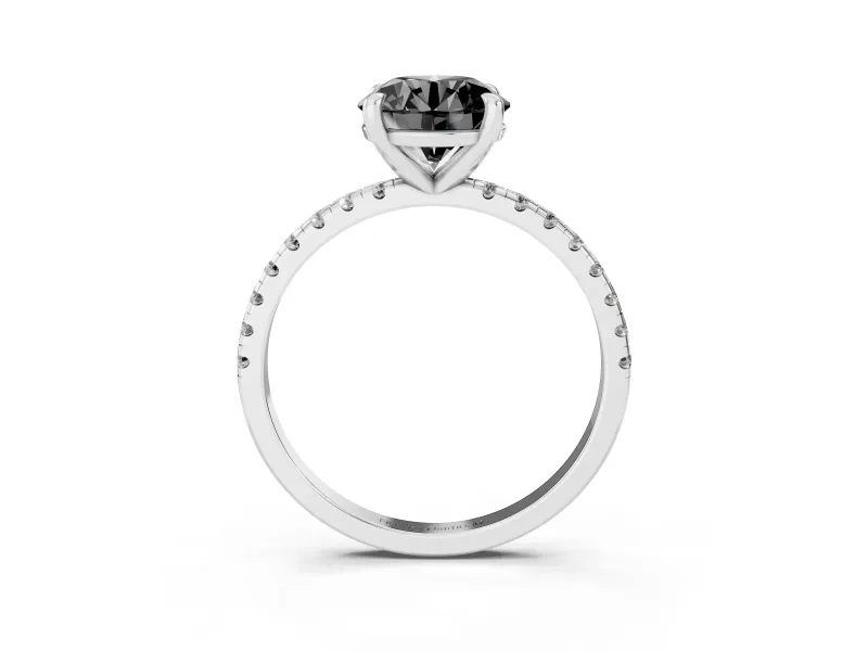 Fancy Black Round Cut Diamond Brilliant Solitaire Ring Set in Silver with Pavé Band and Prong Setting