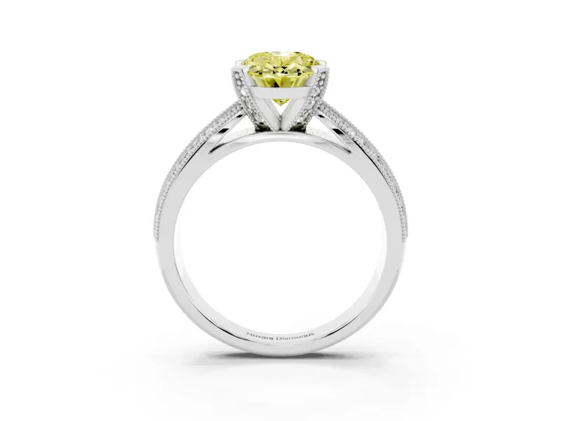 Fancy Yellow Oval Cut Diamond Solitaire Ring Set in White gold with Milgrain Double Row Round Pavé Band
