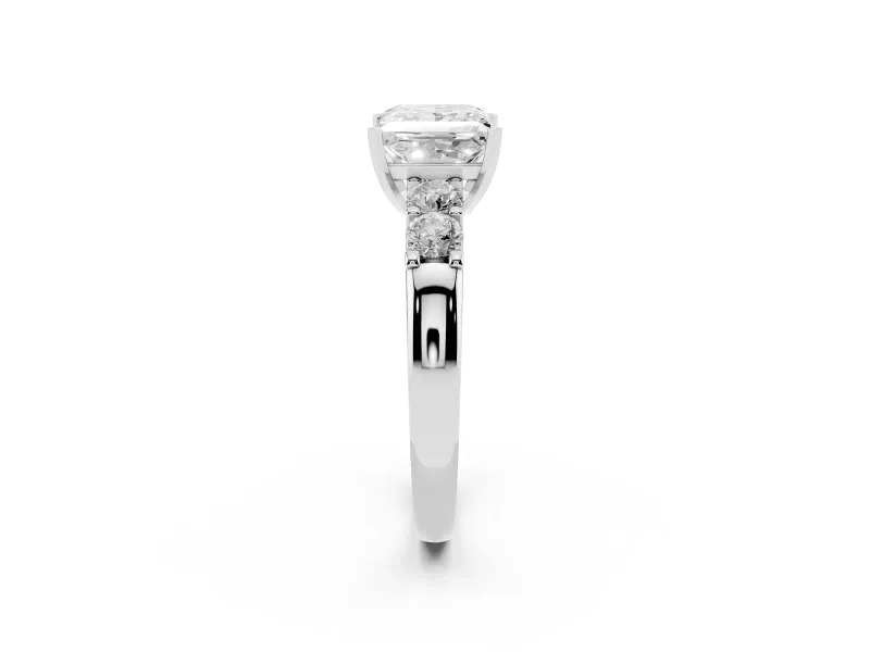 Princess Cut Diamond Five-Stone Prong Set Engagement Ring Set in White gold with Channel Band