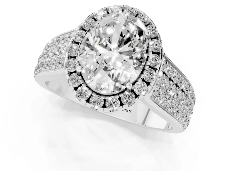 Oval Cut Diamond Halo Ring Set in Platinum with Pavé Band and Raised Center Setting