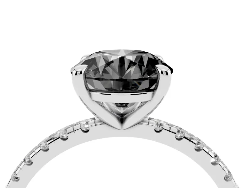Fancy Black Round Cut Diamond Brilliant Solitaire Ring Set in White gold with Pavé Band and Prong Setting