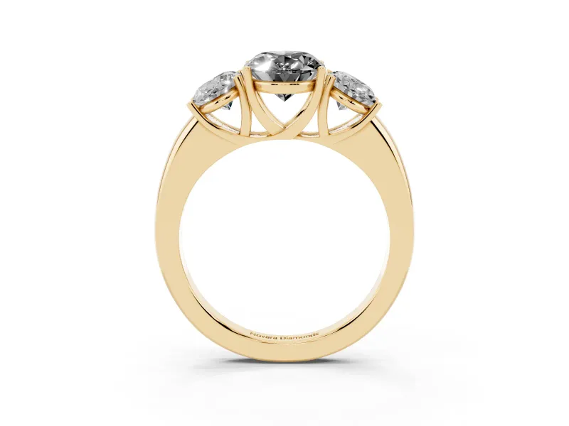 Fancy Black Oval Cut Diamond Three-Stone Ring Set in Yellow gold with Bold Center and Classic Band