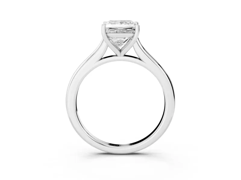 Princess Cut Cathedral Solitaire Engagement Ring Setting | Plain Band | Platinum