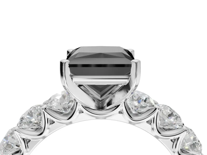 Princess Cut Side Stone Engagement Ring Setting for a Black Center | White Gold