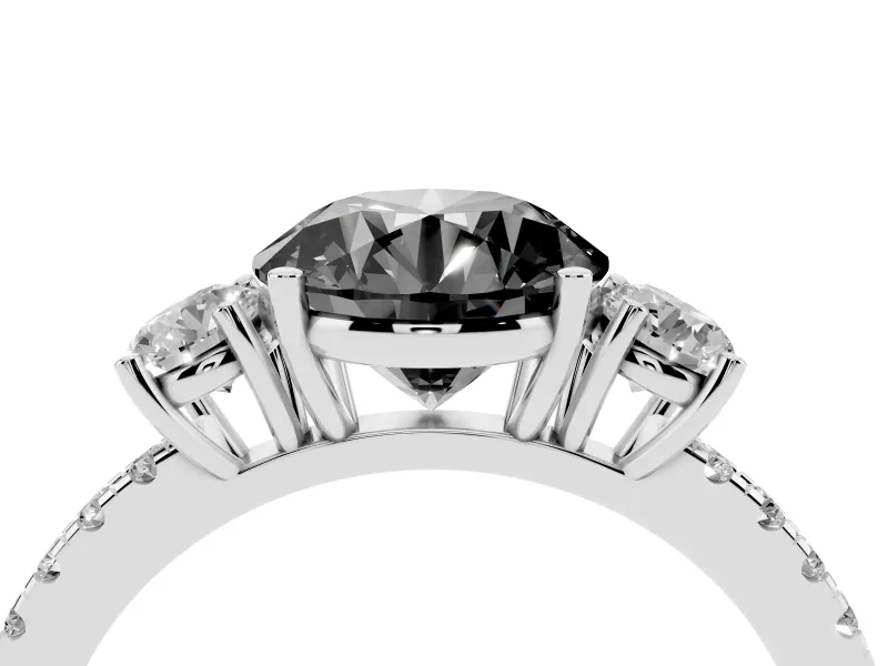 Fancy Black Round Cut Diamond Three-Stone Ring Set in Platinum with Pavé Band and Graduated Sides
