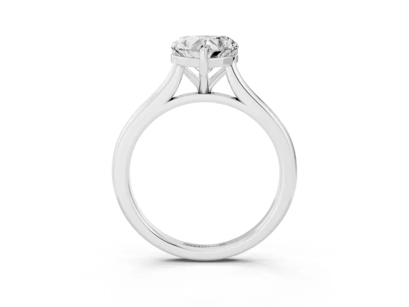 Heart-Shaped Cathedral Solitaire Engagement Ring Setting | Plain Band | White Gold