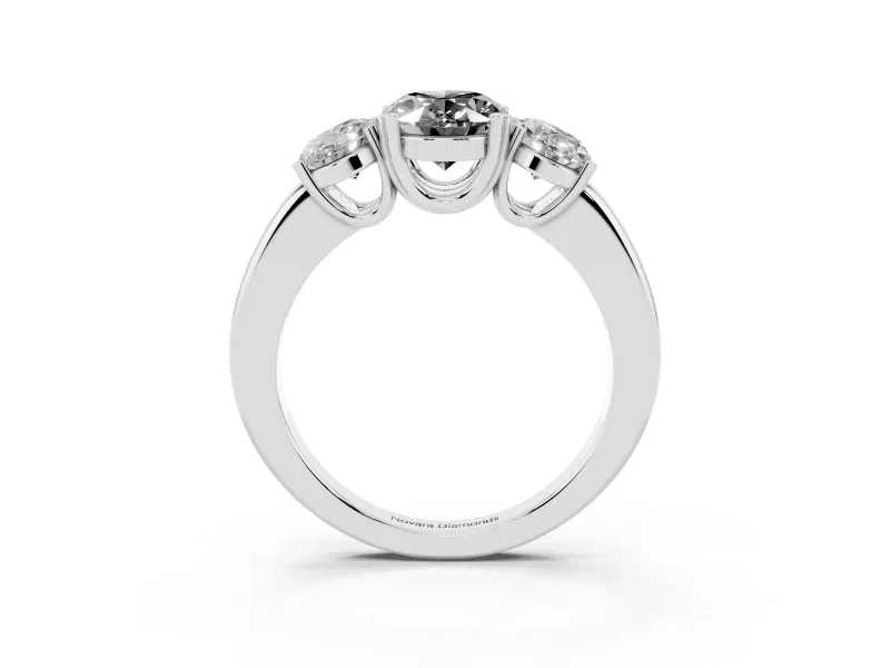 Fancy Black Oval Cut Diamond Three-Stone Ring Set in Silver with Polished Band and Prong Setting