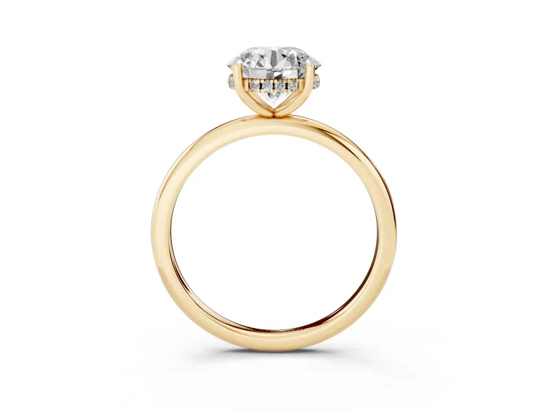 Round Micro-Prong Hidden Halo Engagement Ring Setting | Plain Band | Yellow Gold