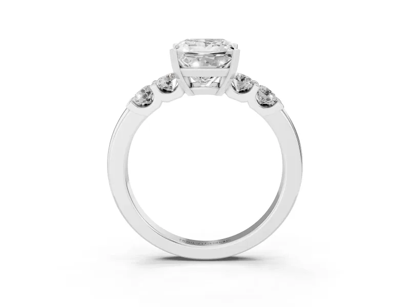 Princess Cut Diamond Five-Stone Prong Set Engagement Ring Set in Silver with Channel Band