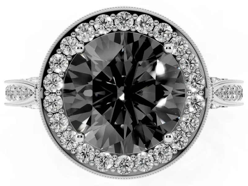 Round Milgrain Halo Engagement Ring Setting for a Black Center | Side Stones | Platinum