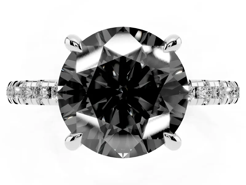 Fancy Black Round Cut Diamond Brilliant Solitaire Ring Set in Silver with Pavé Band and Prong Setting