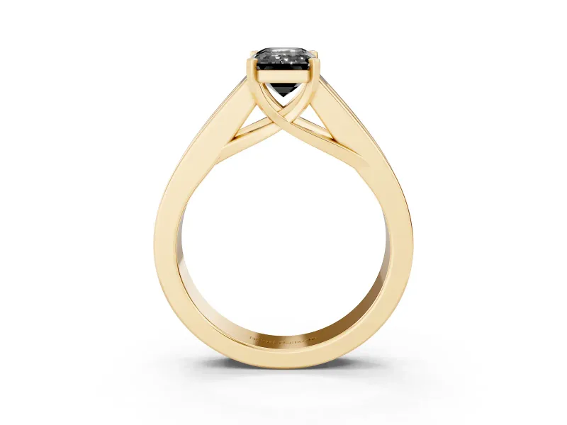Emerald Cut Channel-Set Engagement Ring Setting for a Black Center | Wide Band | Yellow Gold