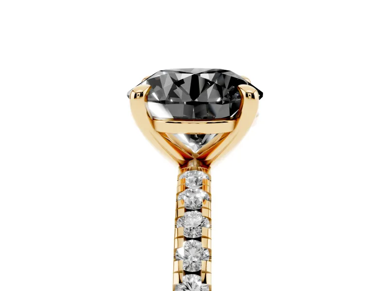 Fancy Black Round Cut Diamond Brilliant Solitaire Ring Set in Yellow gold with Pavé Band and Prong Setting