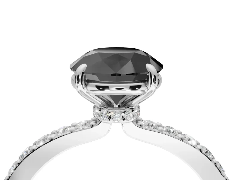 Round Hidden Halo Solitaire Engagement Ring Setting for a Black Center | Pavé Band | Platinum