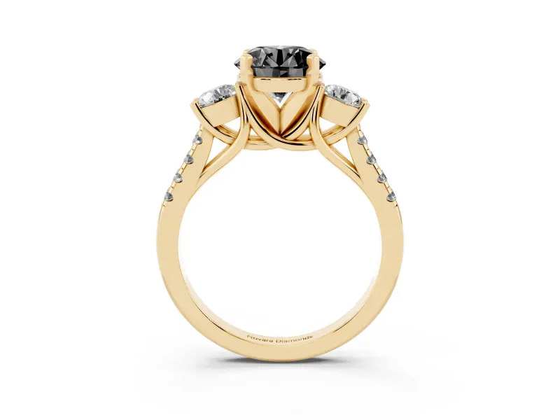 Fancy Black Three-Stone Round Cut Diamond Pavé Band Ring Set in Yellow gold with Prong-Set Trio