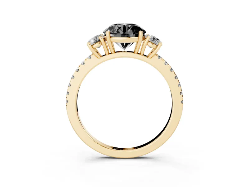 Fancy Black Round Cut Diamond Three-Stone Ring Set in Yellow gold with Pavé Band and Graduated Sides