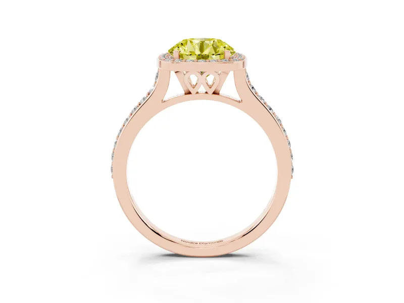 Round Halo Engagement Ring Setting for a Fancy Yellow Lab-Grown Diamond | Rose Gold - Design NV-24729