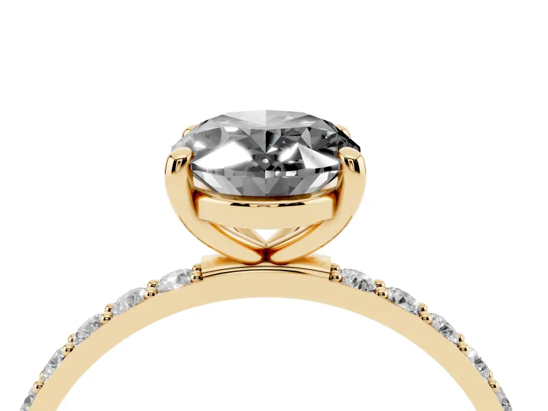 Fancy Black Oval Cut Diamond Solitaire Ring Set in Yellow gold with Round Pavé Band and Prong Setting