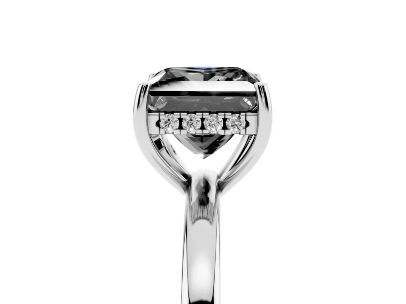 Princess Cut Hidden Halo Engagement Ring Setting for a Black Center | Thin Band | Platinum