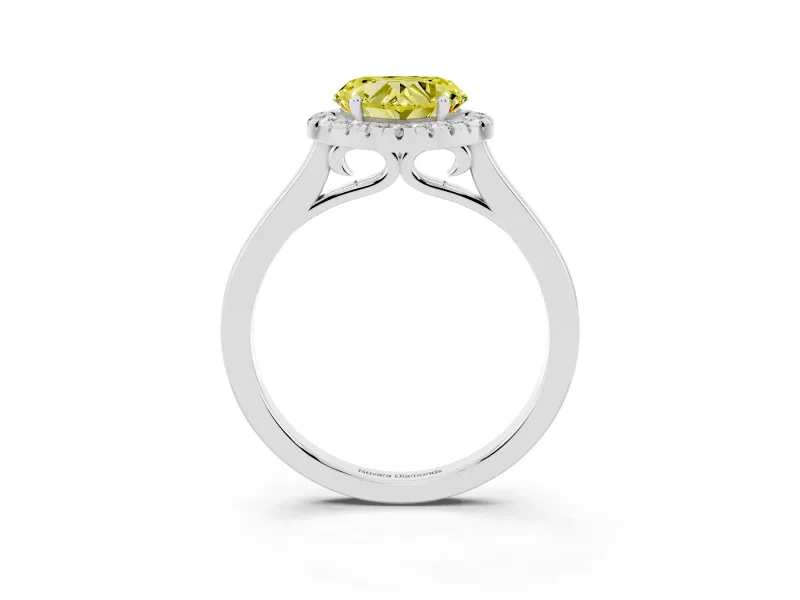 Fancy Yellow Heart Cut Halo Round Diamond Solitaire Ring Set in White gold with Pavé Band and Prong Setting