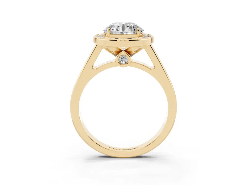 Round Halo Engagement Ring Setting | Polished Outer Rim | Yellow Gold