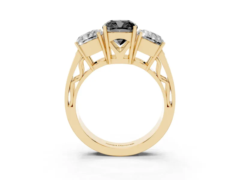 Fancy Black Cushion Cut Diamond Three-Stone Ring Set in Yellow gold with Textured Band