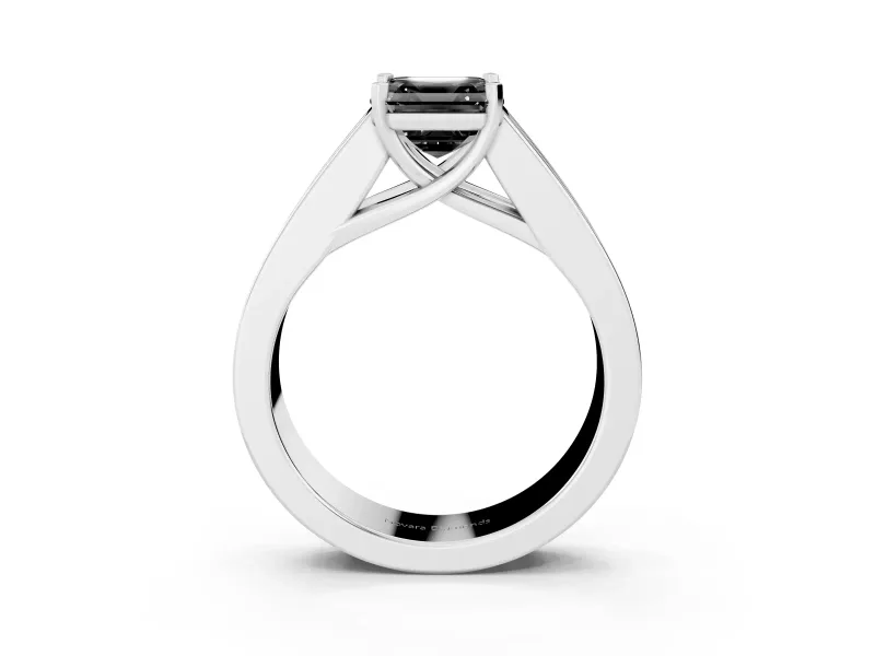 Fancy Black Asscher Cut Diamond Solitaire Ring Set in Platinum with Channel-Set Accent Stones and Prong Setting