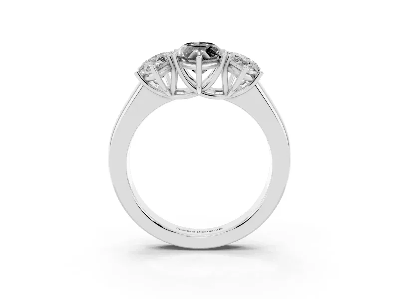 Fancy Black Three-Stone Marquise Cut Diamond Ring Set in Platinum with Matching Prong Settings and Plain Band